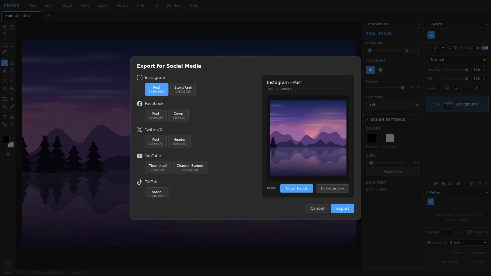 The Export for Social Media dialog in Pictius with the Instagram Post preset selected and a preview of the 1080 x 1080 result in Cover mode.